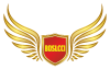 BDSLCCI Basic