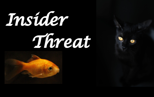 Insider Threats recall that the Weakest Link in Cybersecurity is Humans