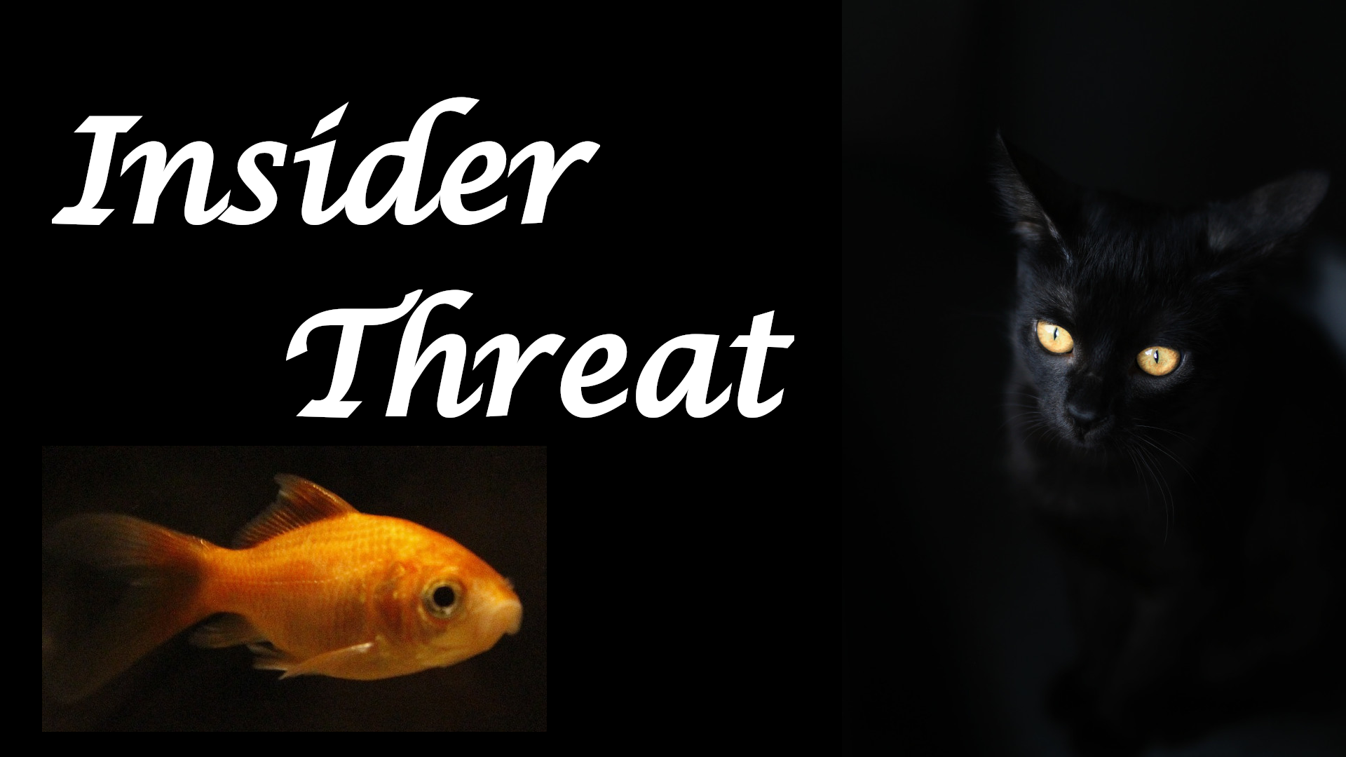Insider Threats recall that the Weakest Link in Cybersecurity is Humans