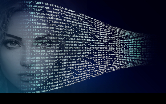 What is Vulnerability Assessment and Penetration Testing (VAPT)?