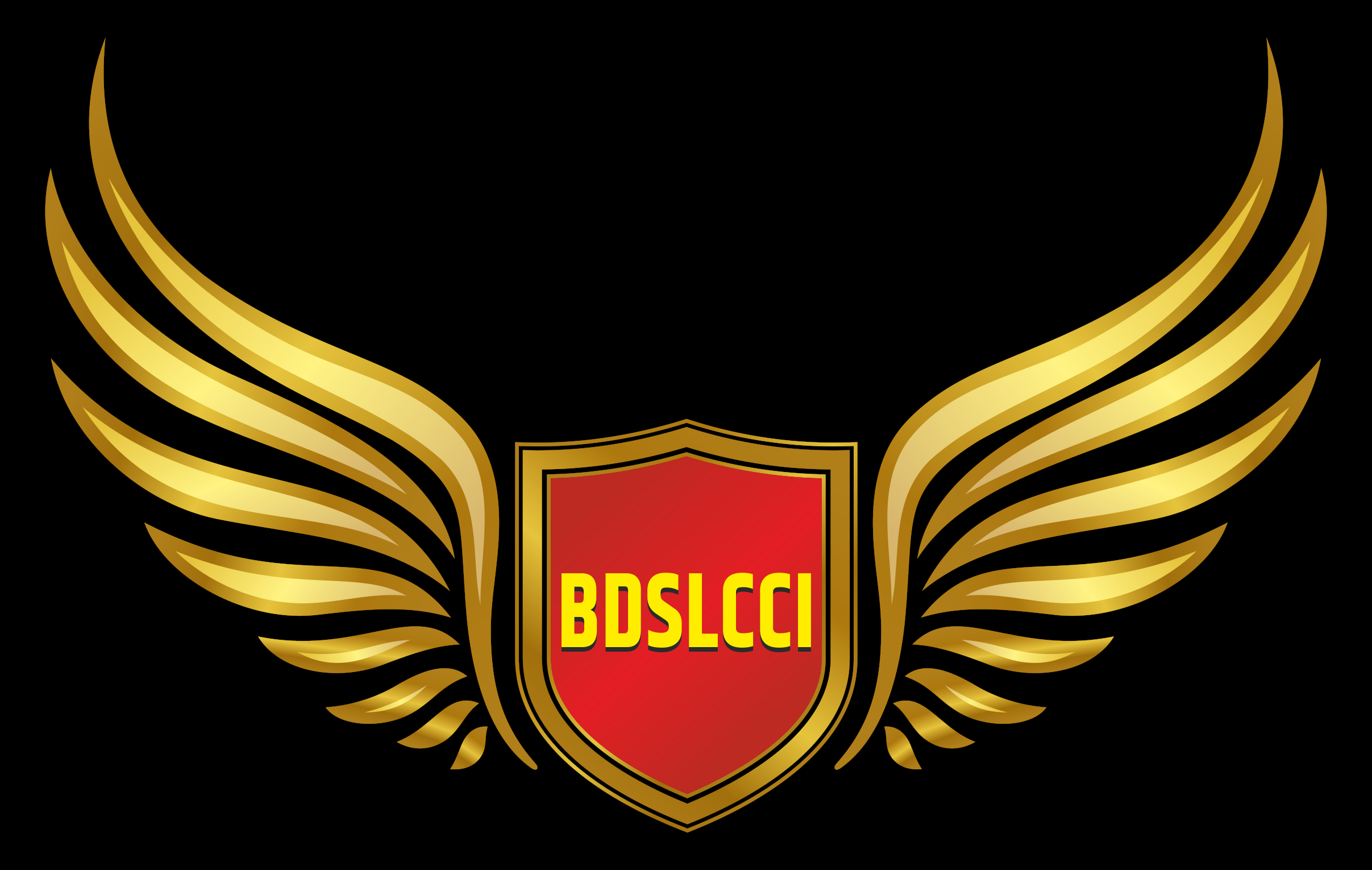 BDSLCCI