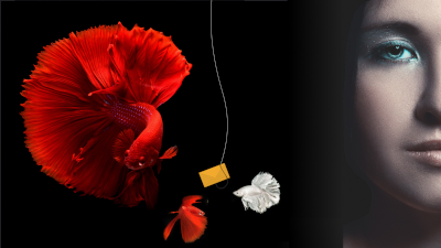 What-is-Phishing-Attack