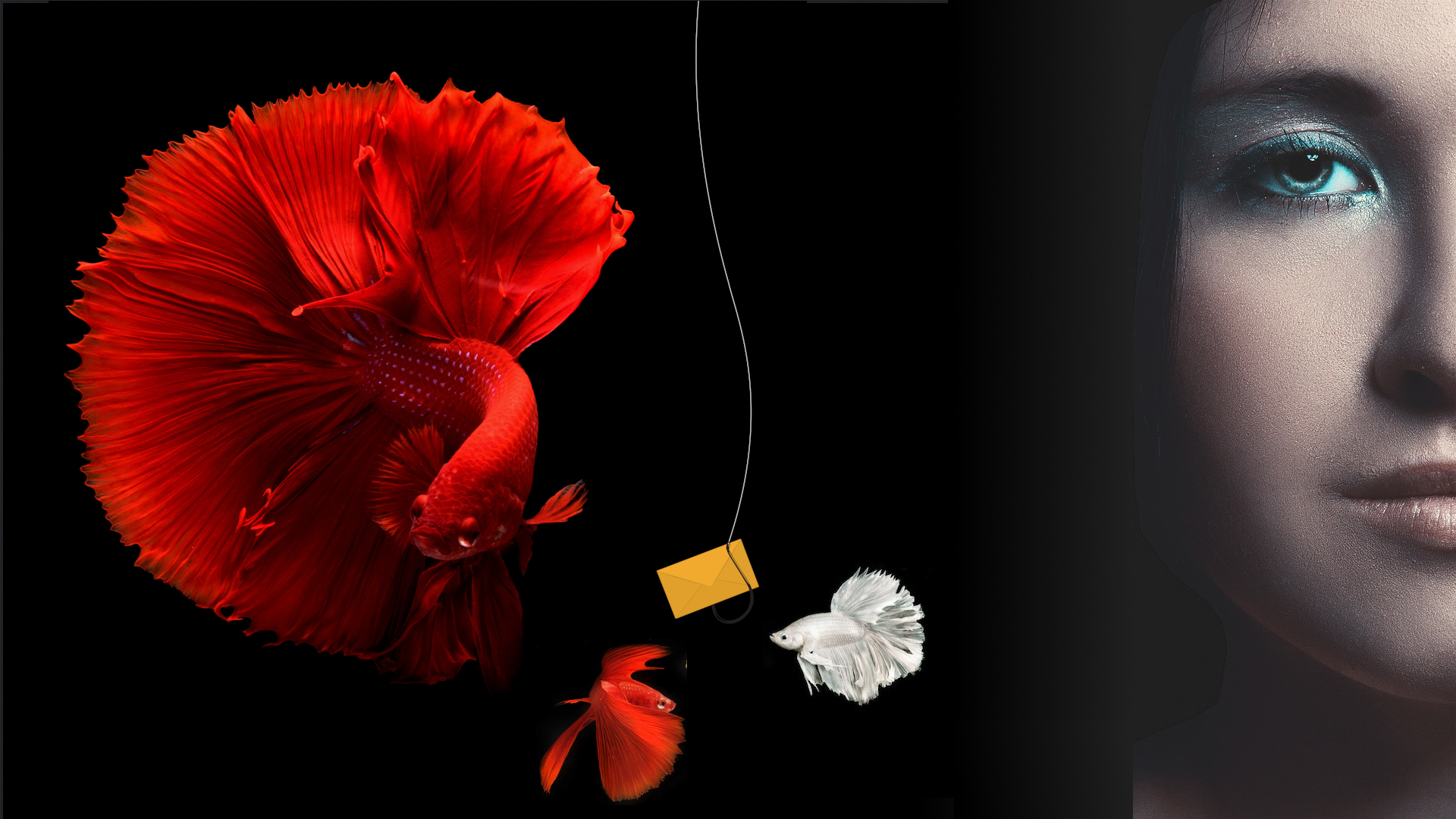 What-is-Phishing-Attack